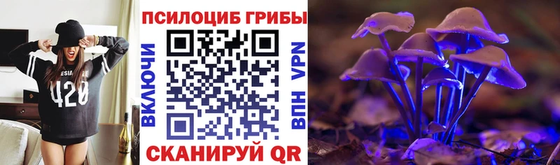 Псилоцибиновые грибы Cubensis  мега зеркало  Северо-Курильск 